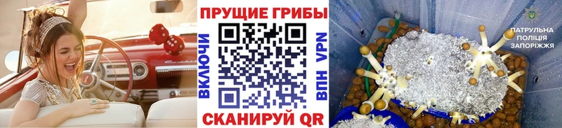 Псилоцибиновые грибы Magic Shrooms Горячеводский