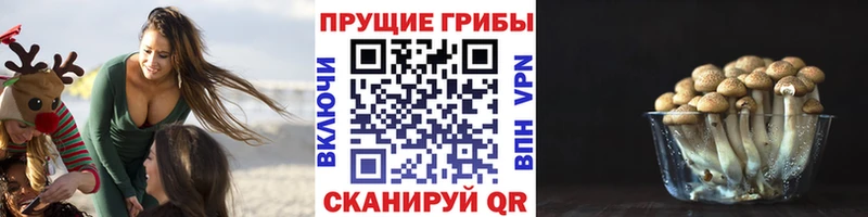 Купить где  Горячеводский  Галлюциногенные грибы мухоморы 
